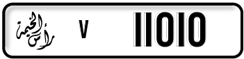 v11010