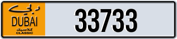 33733